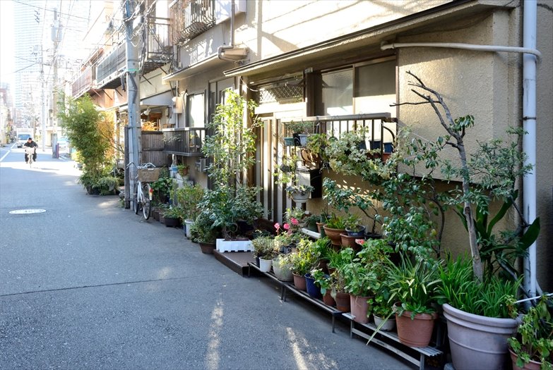 佃煮の町