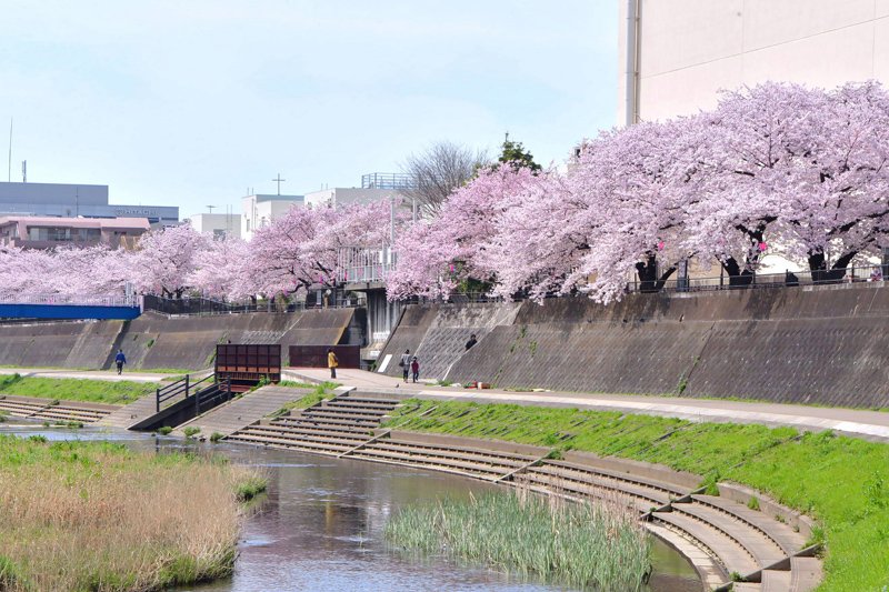 梶尾川