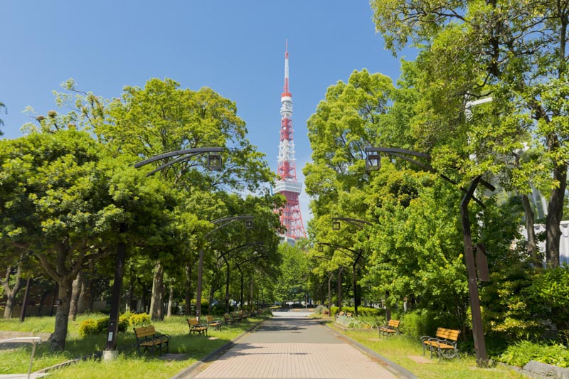 都心にいながら緑に癒される「芝公園」