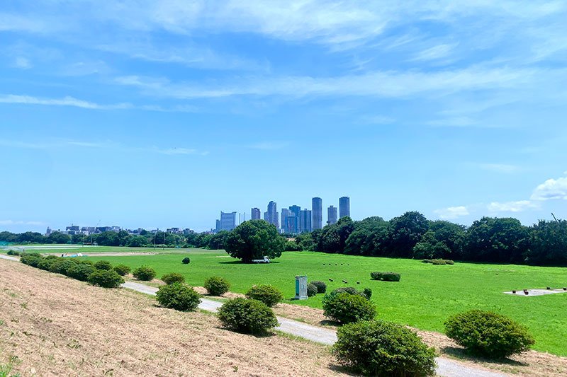 広大な多摩川河川敷