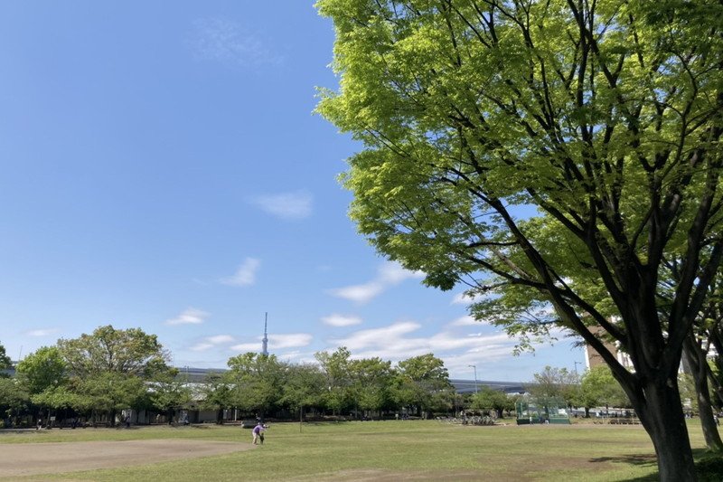 「新小岩公園」