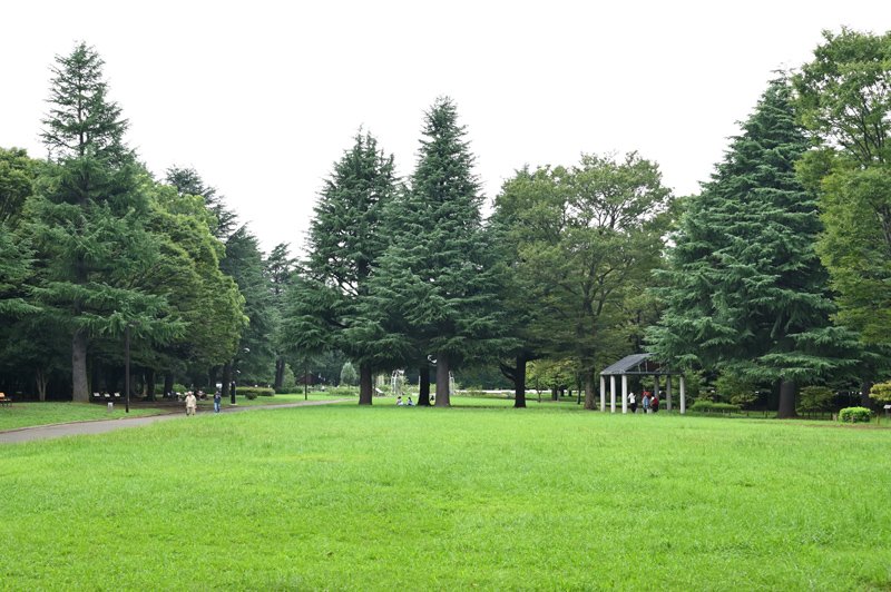 「代々木公園」