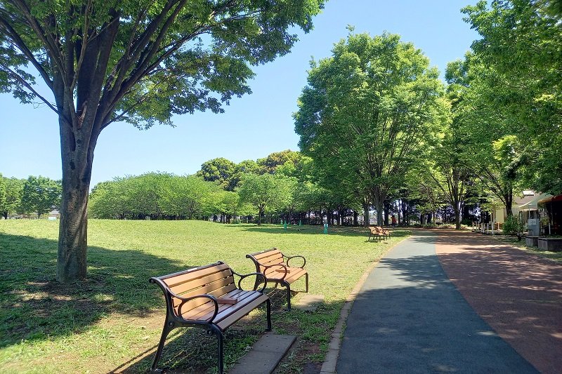 「西東京いこいの森公園」