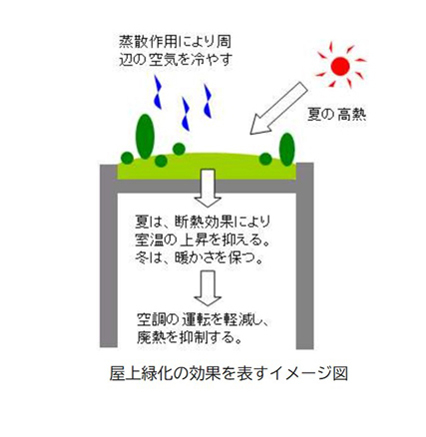 ai50_20250814_06.jpg