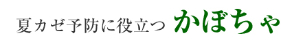 夏カゼ予防に役立つ　かぼちゃ