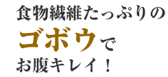 食物繊維たっぷりのゴボウでお腹キレイ！