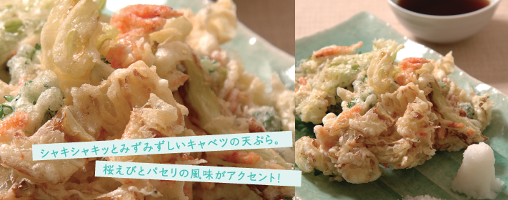 キャベツとしらすと桜えびのかき揚げ