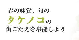春の味覚、旬のタケノコの歯ごたえを堪能しよう
