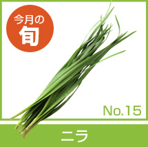 今月の旬 No.15「ニラ」