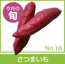 今月の旬 No.16「さつまいも」