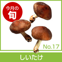 今月の旬 No.17「しいたけ」