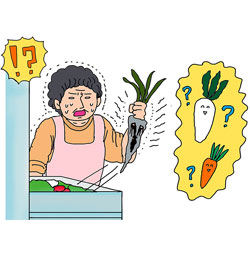 冷蔵庫で野菜のミイラが発掘される