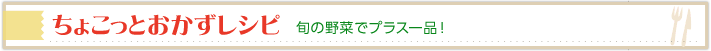 ちょことおかずレシピ 旬の野菜でプラス一品！