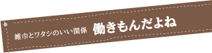 雑巾とワタシのいい関係　働きもんだよね