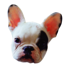 愛犬の成長をポストカードにして愛らしく。