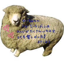 裏には、色ペンやシールなどを貼り付けてメッセージを書くとより温みのあるものに。