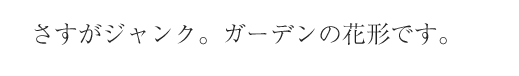 さすがジャンク。ガーデンの花形です。