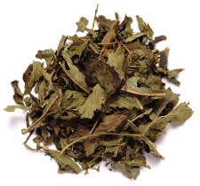 ミント緑茶
