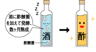 そもそも酢って何から造られるの？