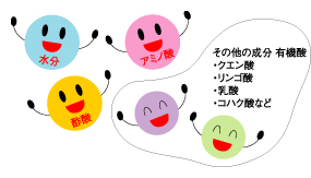 酢の成分は？