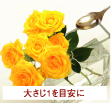 大さじ1を目安に