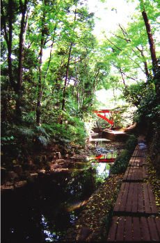 等々力渓谷公園
