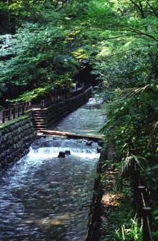 等々力渓谷公園
