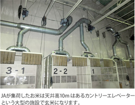 ホクレンで集約されるお米は天井高１０mはあるカントリーエレベーターという大型の施設で玄米になります。