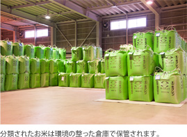 分類されたお米は環境の整った倉庫で保管されます。
