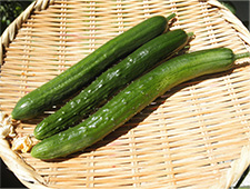 5.収穫