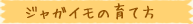 ジャガイモの育て方