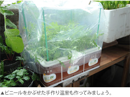 ▲ビニールをかぶせた手作り温室も作ってみましょう。