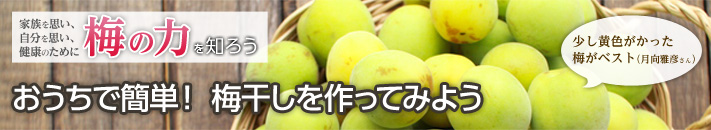おうちで簡単！梅干しを作ってみよう