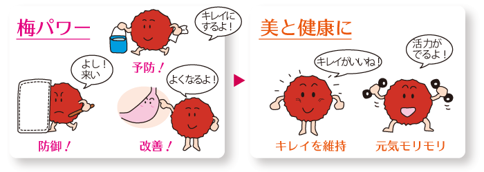 梅で健康生活 私のお気に入り時間 おうちに帰ろ 梅で健康生活 私のお気に入り時間 おうちに帰ろ