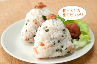 梅干とネギのおにぎり