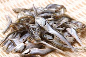 煮干し出汁（だし）の取り方