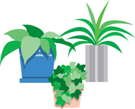 ●観葉植物を置く