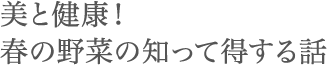 美と健康！春の野菜の知って得する話