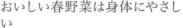 おいしい春野菜は身体にやさしい
