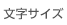 文字サイズ
