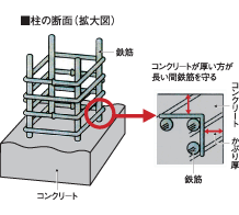 柱の断面（拡大図）