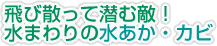 飛び散って潜む敵！水まわりの水あか・カビ