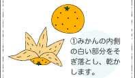 1 みかんの内側の白い部分をそぎ落とし、乾かします。