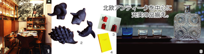 biotope（ビオトープ）