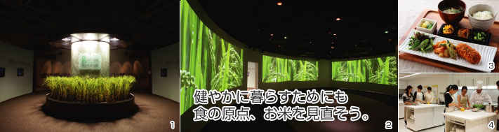 ごはんミュージアム