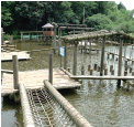 清水公園
