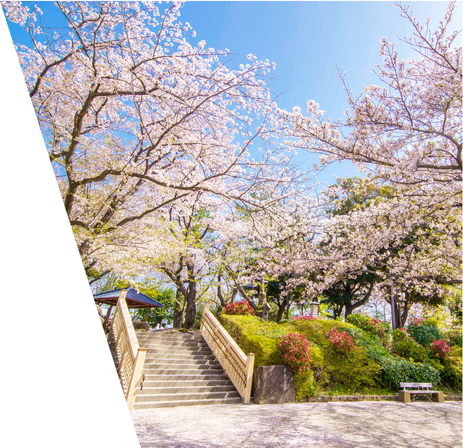 都市景観の再編