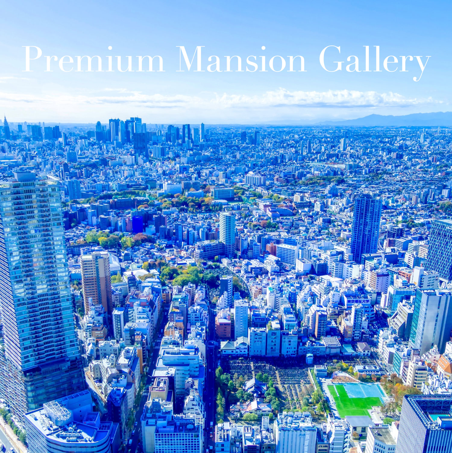 Premium Mansion Gallery