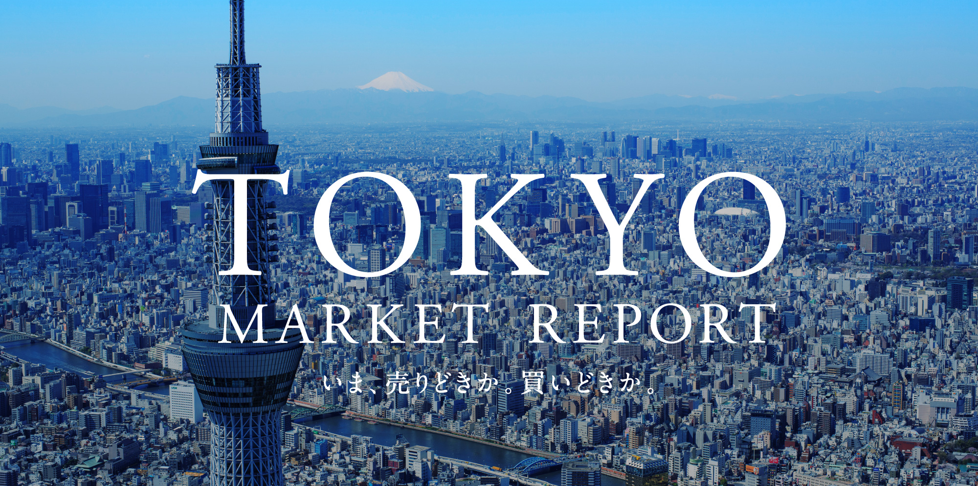 売りどきを逃さない。