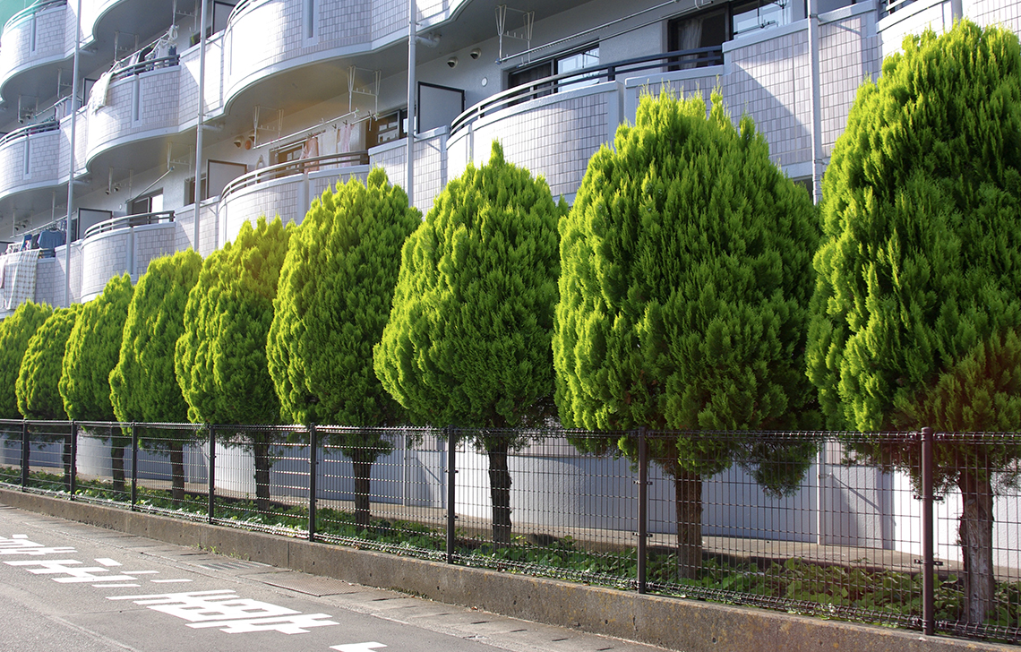 植栽剪定